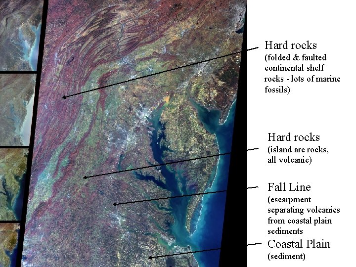 Hard rocks (folded & faulted continental shelf rocks - lots of marine fossils) Hard