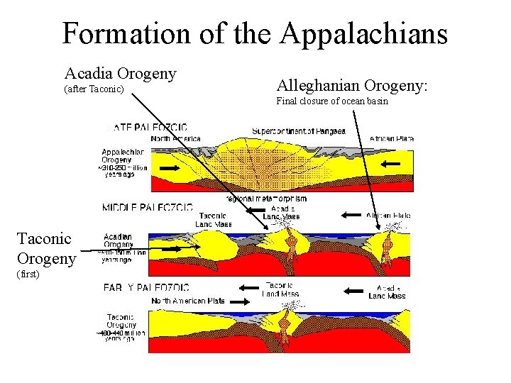 Formation of the Appalachians Acadia Orogeny (after Taconic) Alleghanian Orogeny: Final closure of ocean