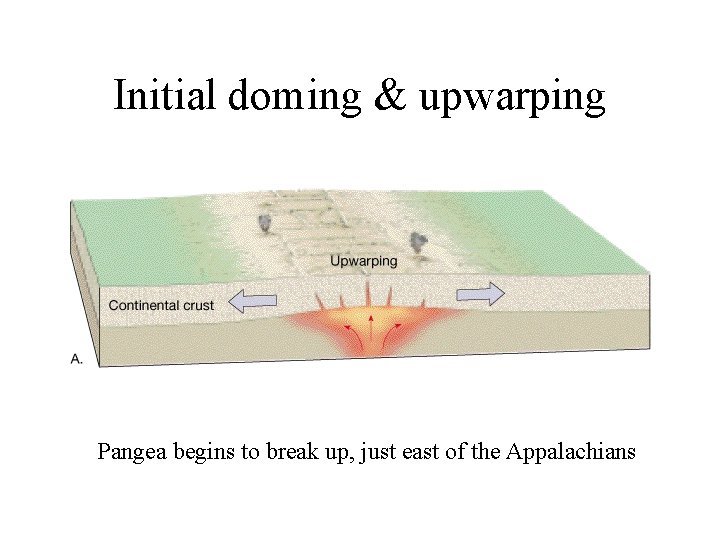 Initial doming & upwarping Pangea begins to break up, just east of the Appalachians