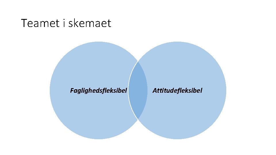 Teamet i skemaet Faglighedsfleksibel Attitudefleksibel Teamet i skemaet Faglighedsfleksibel Attitudefleksibel