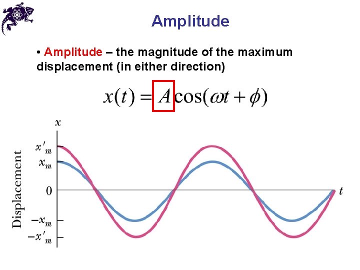 Amplitude • Amplitude – the magnitude of the maximum displacement (in either direction) 