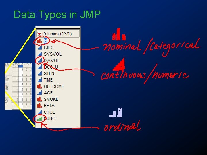 Data Types in JMP 