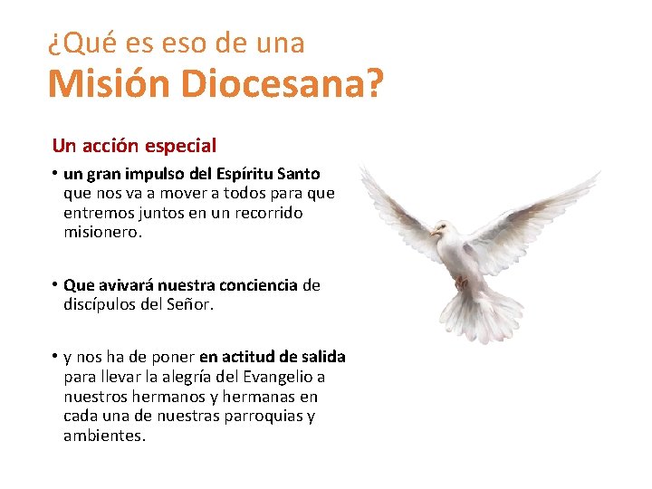 ¿Qué es eso de una Misión Diocesana? Un acción especial • un gran impulso