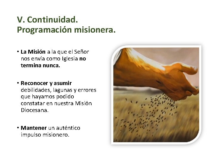 V. Continuidad. Programación misionera. • La Misión a la que el Señor nos envía