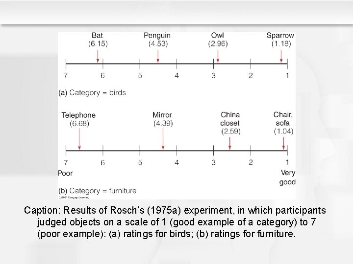 Caption: Results of Rosch’s (1975 a) experiment, in which participants judged objects on a Caption: Results of Rosch’s (1975 a) experiment, in which participants judged objects on a
