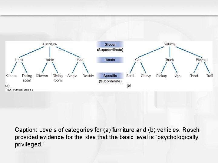 Caption: Levels of categories for (a) furniture and (b) vehicles. Rosch provided evidence for Caption: Levels of categories for (a) furniture and (b) vehicles. Rosch provided evidence for