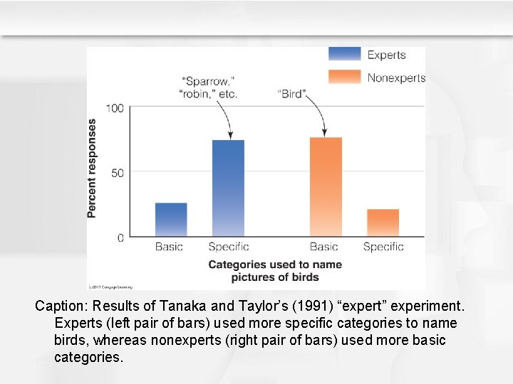 Caption: Results of Tanaka and Taylor’s (1991) “expert” experiment. Experts (left pair of bars) Caption: Results of Tanaka and Taylor’s (1991) “expert” experiment. Experts (left pair of bars)