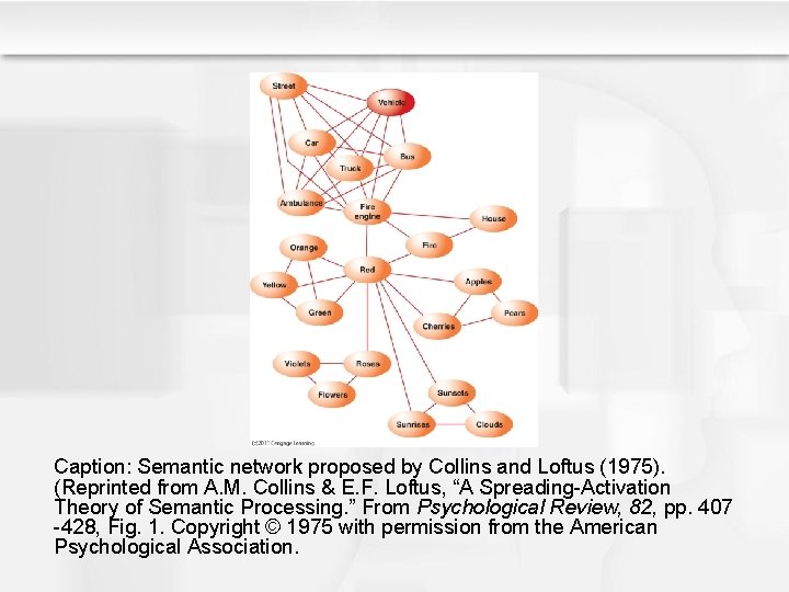 Caption: Semantic network proposed by Collins and Loftus (1975). (Reprinted from A. M. Collins Caption: Semantic network proposed by Collins and Loftus (1975). (Reprinted from A. M. Collins