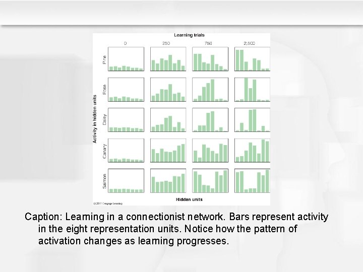 Caption: Learning in a connectionist network. Bars represent activity in the eight representation units. Caption: Learning in a connectionist network. Bars represent activity in the eight representation units.
