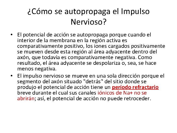 ¿Cómo se autopropaga el Impulso Nervioso? • El potencial de acción se autopropaga porque