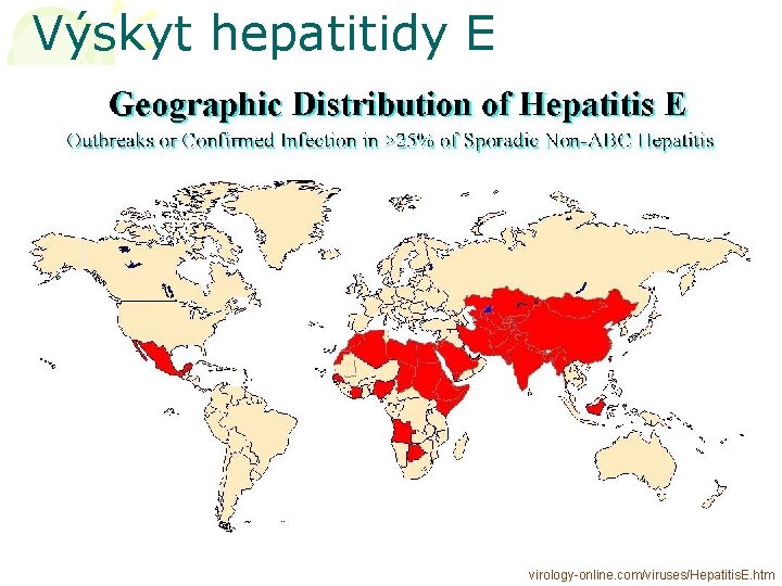 Výskyt hepatitidy E virology-online. com/viruses/Hepatitis. E. htm 