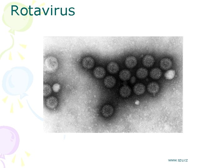 Rotavirus www. szu. cz 