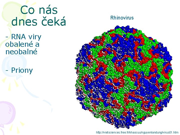 Co nás dnes čeká Rhinovirus - RNA viry obalené a neobalné - Priony http: