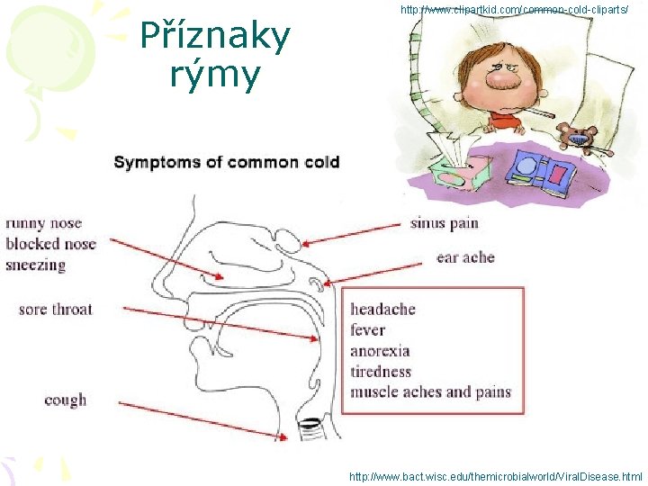 Příznaky rýmy http: //www. clipartkid. com/common-cold-cliparts/ http: //www. bact. wisc. edu/themicrobialworld/Viral. Disease. html 