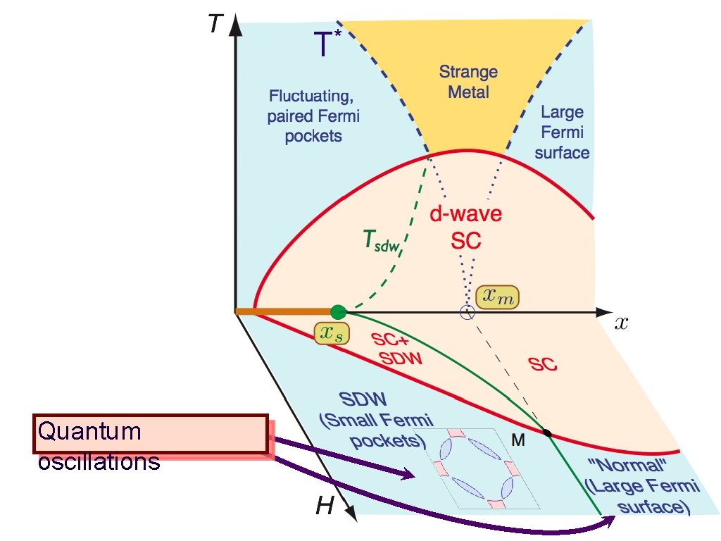 T* Quantum oscillations 