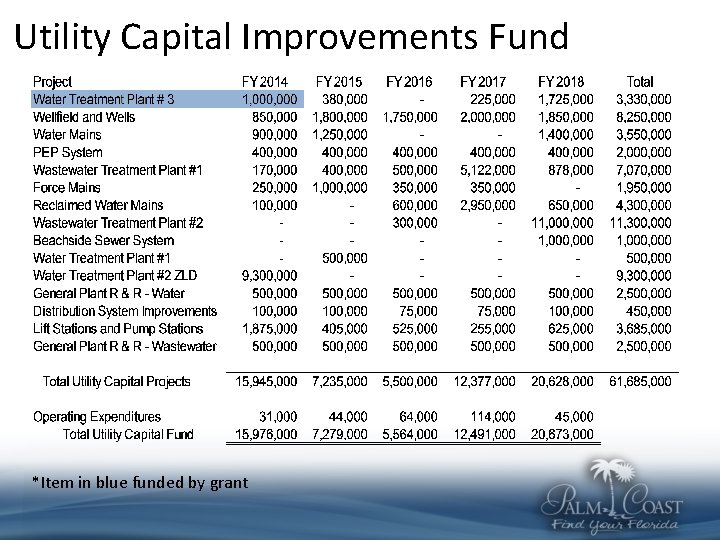 Utility Capital Improvements Fund *Item in blue funded by grant 