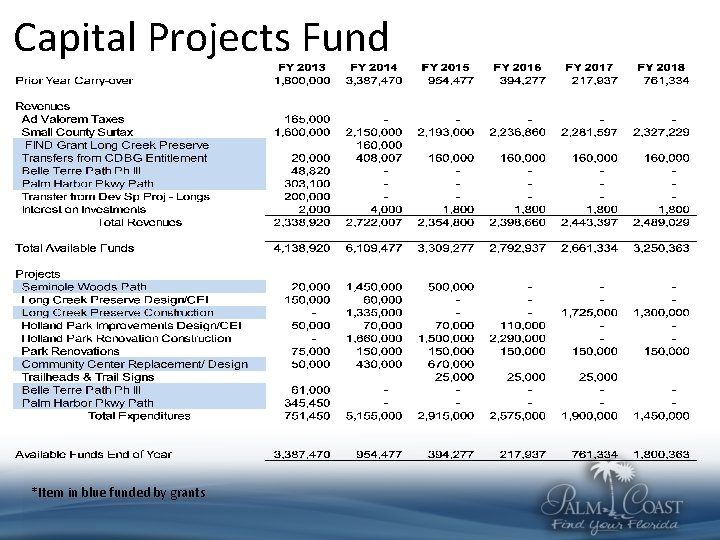 Capital Projects Fund *Item in blue funded by grants 