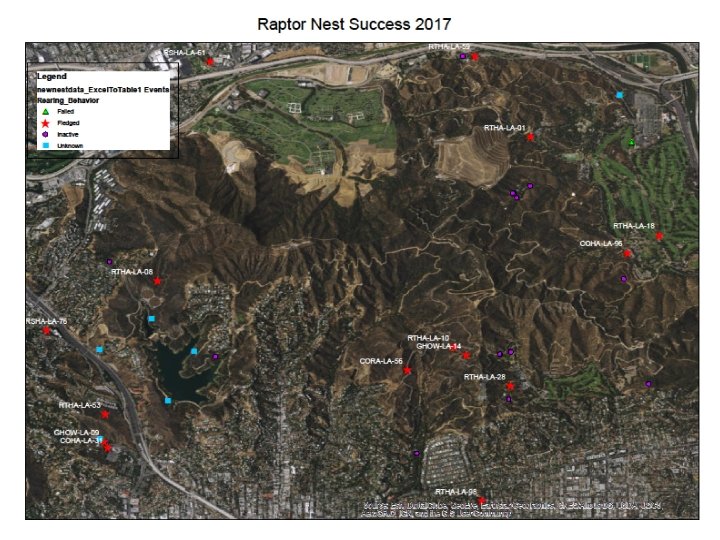 Griffith Park Raptor Survey 2018 Season WrapUp Dan
