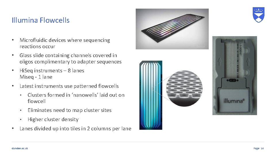 Illumina Flowcells • Microfluidic devices where sequencing reactions occur • Glass slide containing channels