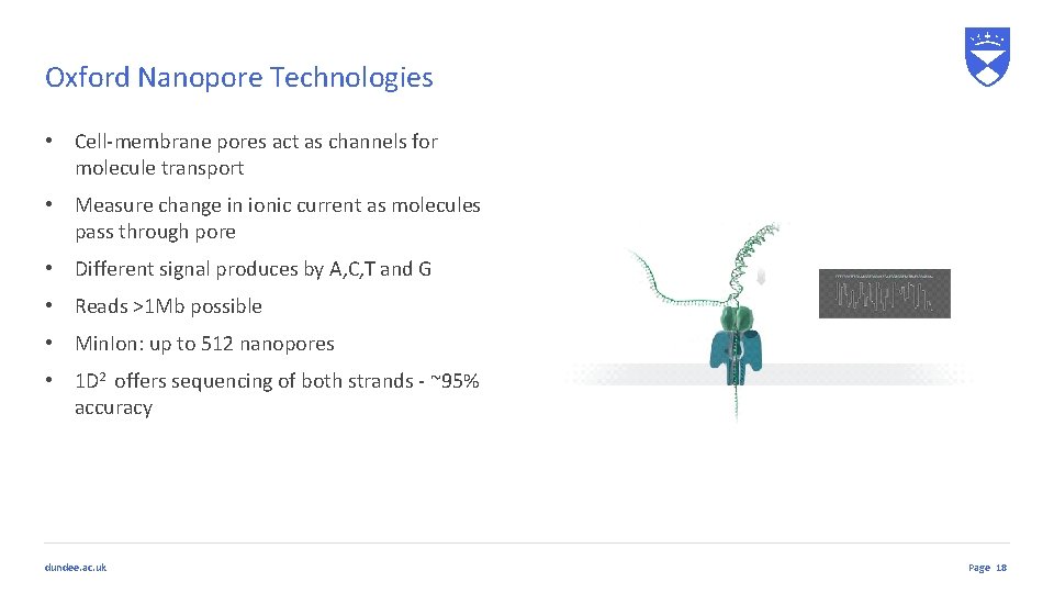 Oxford Nanopore Technologies • Cell-membrane pores act as channels for molecule transport • Measure