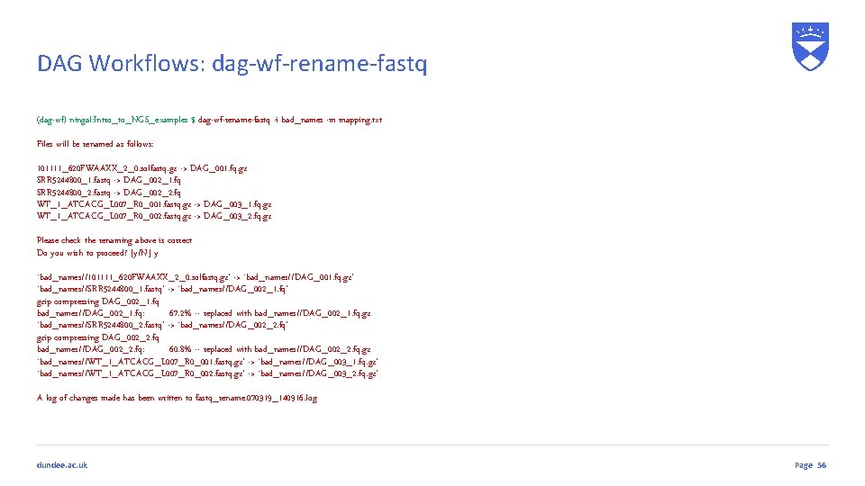 DAG Workflows: dag-wf-rename-fastq (dag-wf) ningal: Intro_to_NGS_examples $ dag-wf-rename-fastq -i bad_names -m mapping. txt Files