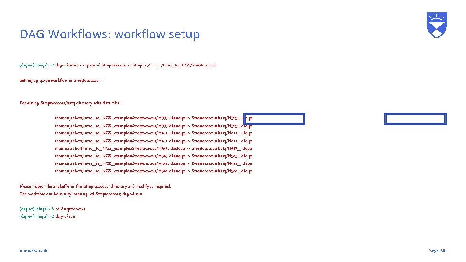 DAG Workflows: workflow setup (dag-wf) ningal: ~ $ dag-wf-setup -w qc-pe -d Streptococcus -n