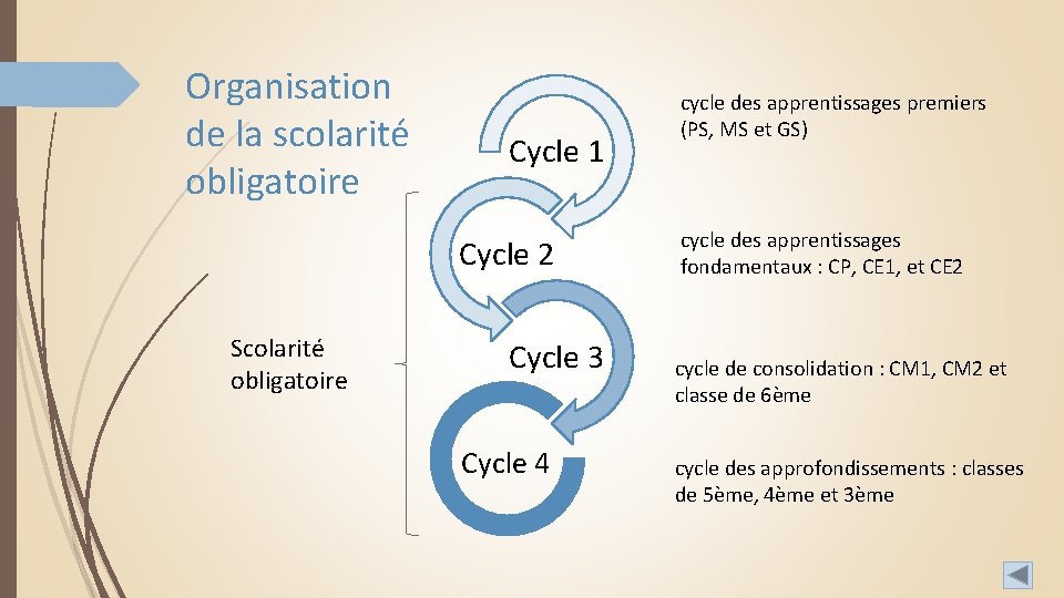 Organisation de la scolarité obligatoire Cycle 1 Cycle 2 Scolarité obligatoire Cycle 3 Cycle