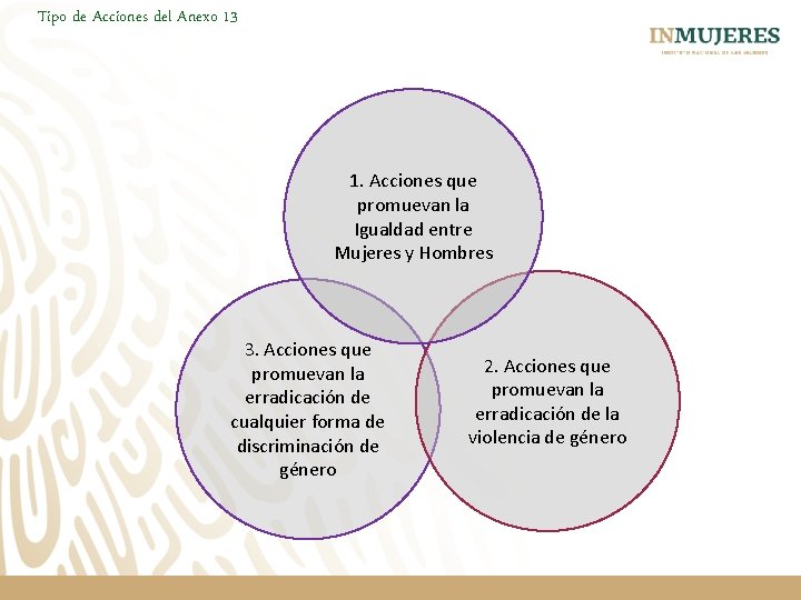 Tipo de Acciones del Anexo 13 1. Acciones que promuevan la Igualdad entre Mujeres