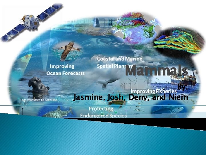 Mammals By: Jasmine, Josh, Deny, and Niem 