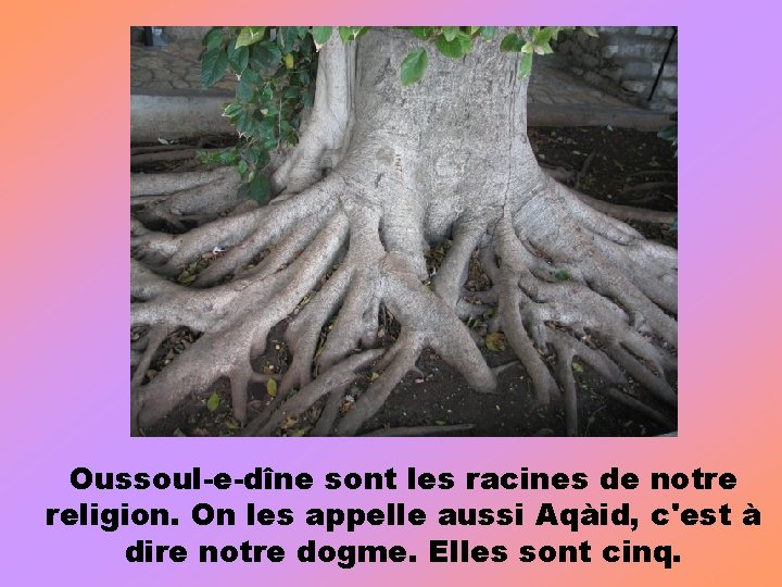 Oussoul-e-dîne sont les racines de notre religion. On les appelle aussi Aqàid, c'est à