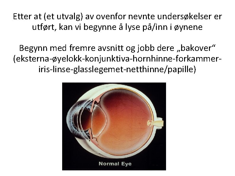 Etter at (et utvalg) av ovenfor nevnte undersøkelser er utført, kan vi begynne å