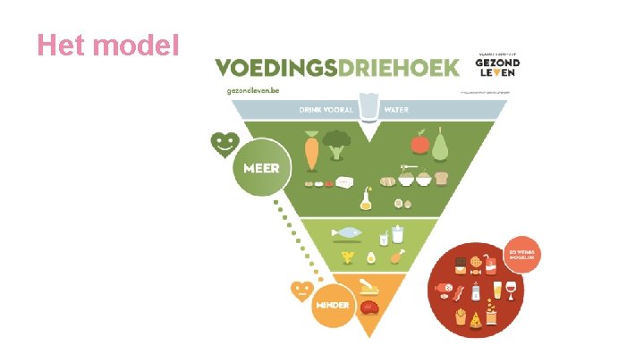 Het model 
