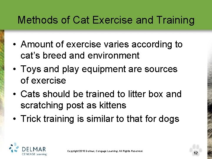 Methods of Cat Exercise and Training • Amount of exercise varies according to cat’s