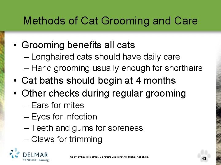 Methods of Cat Grooming and Care • Grooming benefits all cats – Longhaired cats