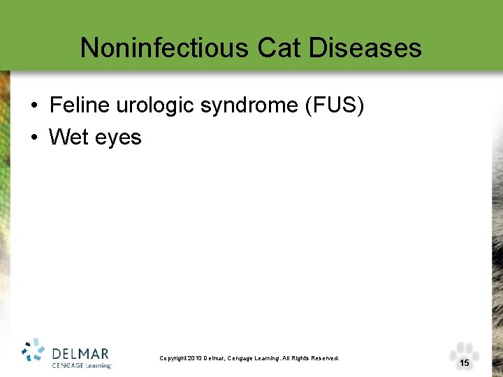Noninfectious Cat Diseases • Feline urologic syndrome (FUS) • Wet eyes Copyright 2010 Delmar,