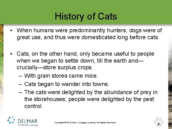 History of Cats • When humans were predominantly hunters, dogs were of great use,
