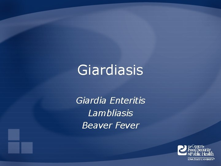 Giardiasis Giardia Enteritis Lambliasis Beaver Fever 
