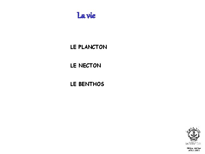 La vie LE PLANCTON LE NECTON LE BENTHOS Hélène Authier AFBS 2005 