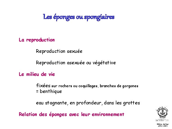 Les éponges ou spongiaires La reproduction Reproduction sexuée Reproduction asexuée ou végétative Le milieu