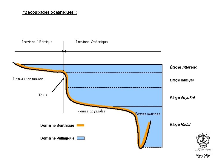 "Découpages océaniques": Province Néritique Province Océanique Étages littoraux Plateau continental Etage Bathyal Talus Etage