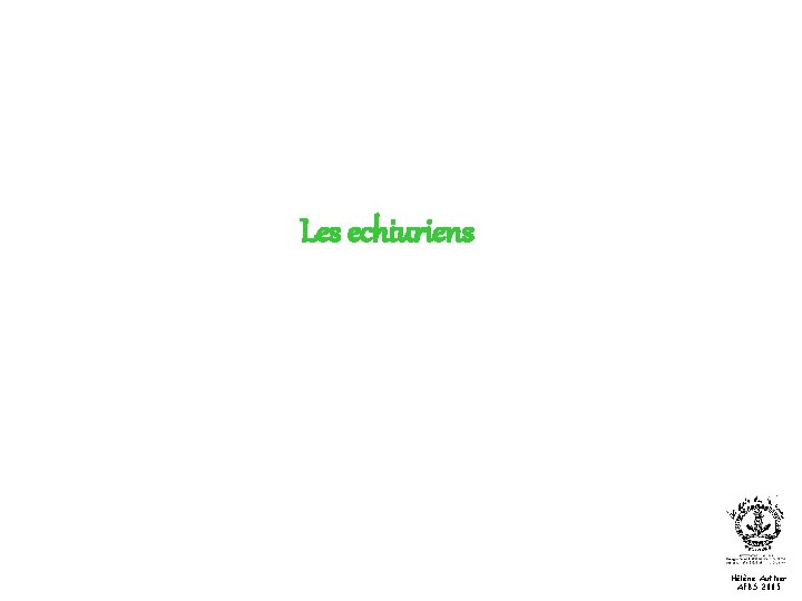 Les echiuriens Hélène Authier AFBS 2005 