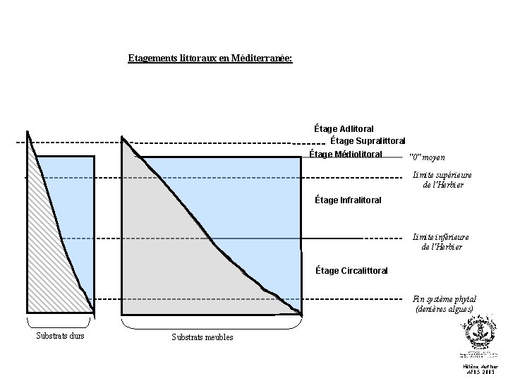 Etagements littoraux en Méditerranée: Étage Adlitoral Étage Supralittoral Étage Médiolitoral "0" moyen Limite supérieure