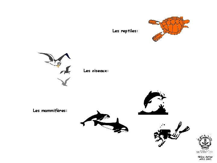 Les reptiles: Les oiseaux: Les mammifères: Hélène Authier AFBS 2005 