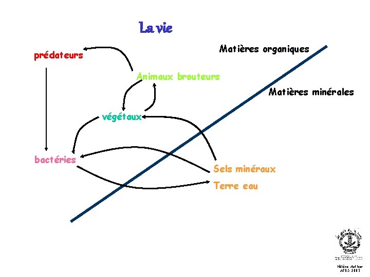 La vie Matières organiques prédateurs Animaux brouteurs Matières minérales végétaux bactéries Sels minéraux Terre