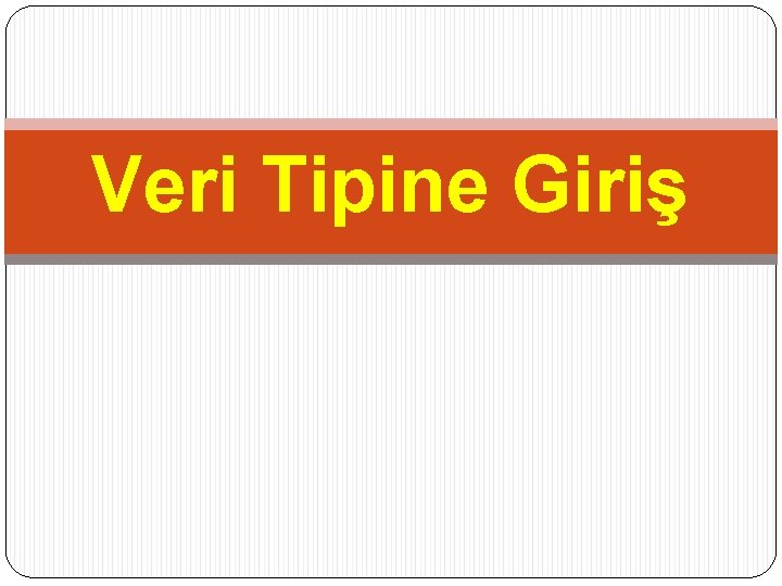 Veri Tipine Giriş 