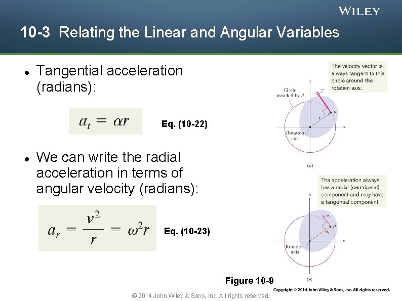 10 -3 Relating the Linear and Angular Variables Tangential acceleration (radians): Eq. (10 -22)