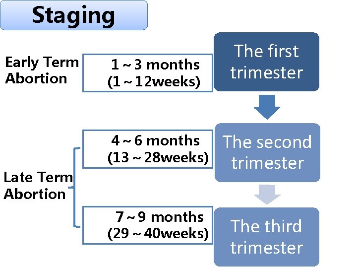 Staging Early Term Abortion 1～ 3 months (1～ 12 weeks) 4～ 6 months (13～