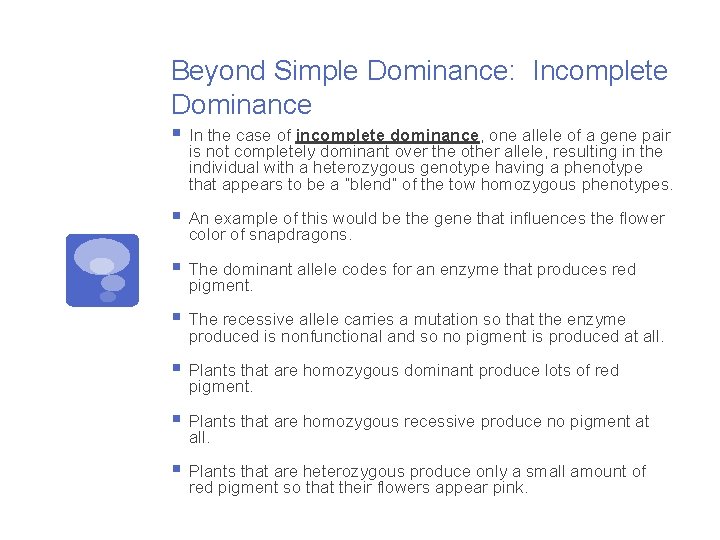 Beyond Simple Dominance: Incomplete Dominance § In the case of incomplete dominance, one allele