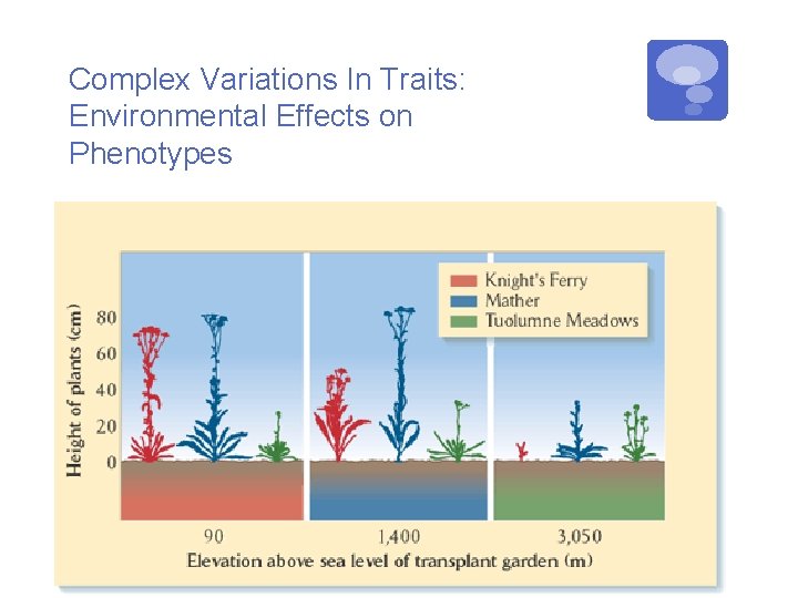 Complex Variations In Traits: Environmental Effects on Phenotypes 