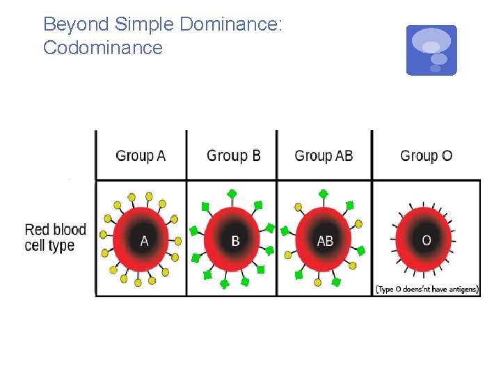 Beyond Simple Dominance: Codominance 